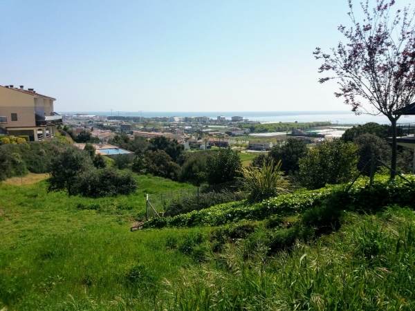 La Natura agraeix el nostre confinament &bsol;&bsol;&bsol; RELLA