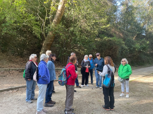 COMENTARI I FOTOS DE LA VISITA GUIADA A CASA VILAJOANA  &bsol;&bsol;&bsol; RELLA