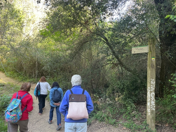 COMENTARI I FOTOS DE LA VISITA GUIADA A CASA VILAJOANA  &bsol;&bsol;&bsol; RELLA