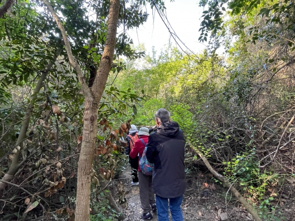 COMENTARI I FOTOS DE LA VISITA GUIADA A CASA VILAJOANA  &bsol;&bsol;&bsol; RELLA