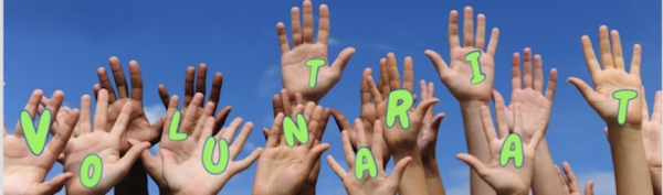 NOVES PROPOSTES DE VOLUNTARIAT  &bsol;&bsol;&bsol; RELLA