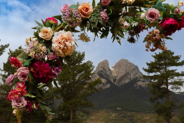 SORTIDA FOTOGRÀFICA A TULIPMANIA &bsol;&bsol;&bsol; RELLA