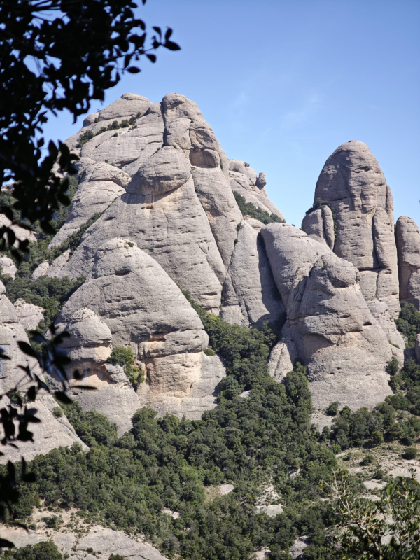 FOTOS I COMENTARI DE LA PASSEJADA  A MONTSERRAT I ERMITES &bsol;&bsol;&bsol; RELLA